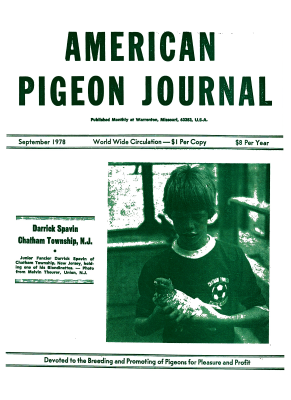 Click for larger image